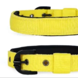 OEM Wholesale <b>Dog</b> <b>Collars</b> Custom Designs & Bulk Manufacturing Available from Divine International - Product Image 1