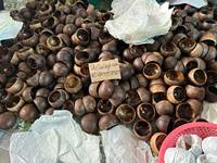Cuencos de Cáscara de Coco para Fabricación de Velas, Venta Directa de Fábrica, Personalizables, Precio Competitivo desde Vietnam