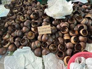 Bols en coquille de noix de coco pour la fabrication de bougies, vente en gros directe d'usine, personnalisables, prix compétitif, en provenance du Vietnam - Product Image 2