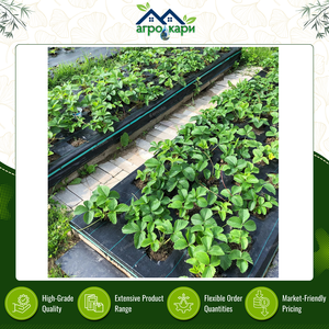 UV Stabilized Strong and Tear Resistant 100% Virgin PP Woven Ground Cover Fabric for Plant Protection and Weed Control in Garden - Product Image 5