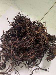HOT SALE Blue Lotus <b>Raw</b> Seamoss 2025 clean ocean dried <b>moss</b> picked from natural <b>sea</b> beds - Product Image 3