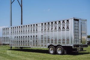 Semirremolque de Transporte de Ganado Resistente Personalizado con Eje Tándem, Capacidad de Carga Útil de 30000 kg para Vacas, Ovejas, Caballos y Cabras - Product Image 6