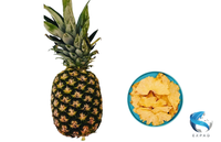 Private Label Klaar voor Verzending Gedroogde Ananas Schijfjes Export Standaard Bulk