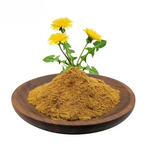 Polvo de Raíz de Diente de León 100% Natural de Calidad Superior, Grado Alimenticio a Base de Plantas, Ayuda en el Control del Peso Corporal - Product Image 3