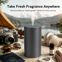 Diffuseur d'huiles essentielles portable rechargeable en métal sans eau HIITII, mini machine à parfum pour voiture, fonctionne sur batterie, pour la maison