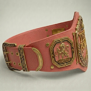 Ceinture de championnat de boxe, construction haut de gamme, décorations détaillées, apparence élégante, parfaite pour les événements sportifs et les récompenses - Product Image 6
