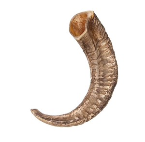 Corne à boire en corne de buffle polie, style corne de viking, artisanat animalier (chèvre), d'Inde, au meilleur prix - Product Image 1