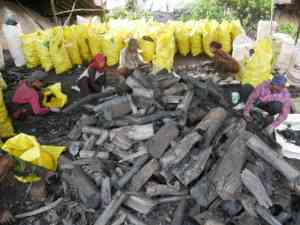 Great Quality Indonesian Charcoal Halaban Lump Hardwood for BBQ | Long <b>Burning</b> Low Ash 7000-8000 Kcal/kg CARSURIN Lab-Test - Product Image 5