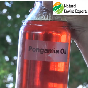 Aceite de semilla de Karanja orgánico puro en embalaje a granel extraído por semillas frescas utilizadas como aceite multiusos Aceite de semilla de Karanja - Product Image 3