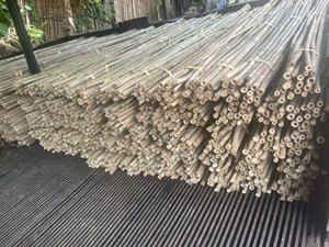 Canne en bambou de haute qualité pour la construction, le soutien, l'aménagement paysager et les projets agricoles, piquets en bambou du Vietnam - Product Image 6