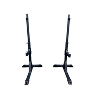 Support de Squat Réglable DW SPORTS, Rack à Haltères Autoportant pour la Musculation à Domicile, Charge Maximale 125 kg