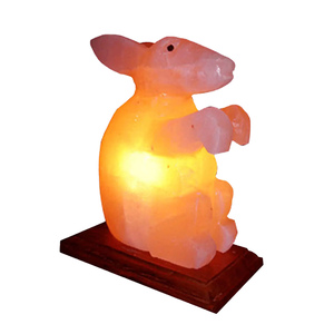 Lámpara de Sal del Himalaya, Artículo de Regalo de Primera Calidad, Proveedor de Exportación, Precio Competitivo y Entrega Rápida - Product Image 5