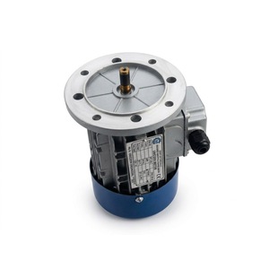 Moteur électrique triphasé UNICORN 0,25 CV 0,18 kW 3000 tr/min 2 pôles à montage par bride, induction AC, cadre 63 - Product Image 2