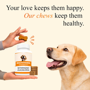 Compléments multivitaminés premium à croquer pour chiens : Nutrition quotidienne, soutien immunitaire, santé de la peau et du pelage, digestion optimale – OEM, ODM, marque privée, vente en gros - Product Image 4