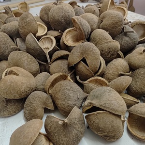 Décoration d'aquarium intérieure la plus vendue : Matériel végétal naturel brut, noix de Bouddha, fleurs séchées pour la décoration et les loisirs créatifs DIY - Product Image 5