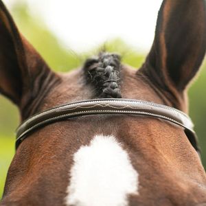 Brida de Cuero para Caballo con Logotipo Personalizado, Duradera y de Alta Calidad, Equipo de Equitación Profesional a Bajo Precio - Product Image 3