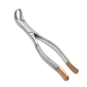 Pinzas de Extracción Dental # Pinzas de Extracción 151 de Acero Inoxidable para Dientes Bicuspide, Incisivo Inferior y Raíz Inferior - Product Image 1