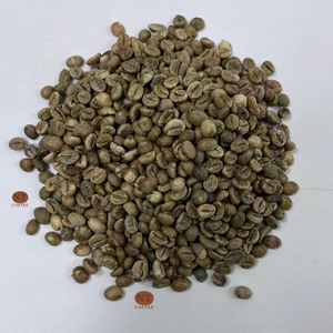 Café vert Robusta d'origine Vietnamienne, haute teneur en caféine, café Robusta non torréfié, grains de café crus, service de marque privée - Product Image 1