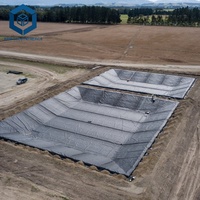Lámina de Geomembrana de HDPE Económica, Precio por M2 del Revestimiento de HDPE para Proyectos de Contención de Vertederos