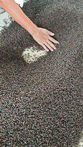 Poivre noir MC ASTA FAQ Variété d'épices et de graines crues séchées Goût épicé chaud Forme ronde Séchage expert traité - Product Image 2