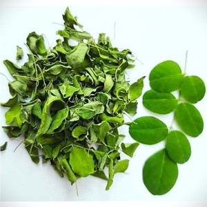 Poudre de feuilles de Moringa de haute qualité pour applications alimentaires commerciales, poudre végétale naturelle pour la distribution et l'emballage en gros - Product Image 2