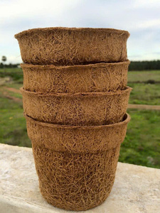 Pots en fibre de coco EcoNest : solution durable pour semis et pépinières - Product Image 3