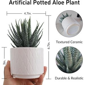 Vaso in Ceramica da 6,7 Pollici ad Alto Potenziale Decorativo per Casa, Ufficio, Scrivania, Bagno, Scaffale Boho - Pianta Artificiale di Aloe Succulenta - Product Image 2