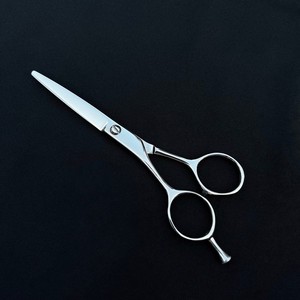 Ciseaux de coiffure professionnels en acier inoxydable argenté de 5,5 pouces, lame droite pour gaucher, plaqués titane, pour salon de beauté - Product Image 1