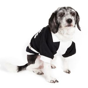 Varsity Styled Buckled <b>Collared</b> <b>Pet</b> Coat Stylish <b>Pet</b> Clothes - Product Image 2