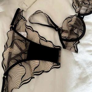 Conjunto de lencería sexy para mujer con aros, tela elástica de encaje, sujetador y braga - Product Image 1