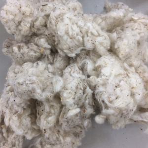 Thanh Vin Fabricante de algodón blanqueado 100% Noil Listo para cargar Algodón crudo de alta calidad (Sra. Xavia + 84 333371330) - Product Image 3