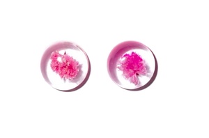 Flor de Gypsophila, Espécimen Real en Cabujón de Plástico Redondo de 13x13 mm, Base Plana Transparente para Manualidades y Joyería - Product Image 5