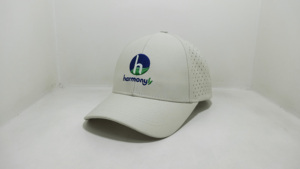 Gorra de Béisbol Personalizada con Bordado 2D, 6 Paneles, Transpirable y Perforada, para Adultos, Ropa Casual para las Cuatro Estaciones, Hecha en Vietnam - Product Image 2