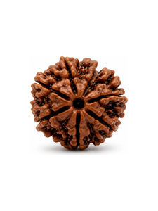 Mala artesanal de cuentas sueltas de Rudraksha Natural 8 Mukhi, joyería espiritual al por mayor - Product Image 1