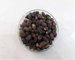 Graines de Jatropha 100% naturelles, 75 cm, stockage à sec, durée de conservation de 2 ans, origine UE, haute qualité, prix de gros pour usage végétal - Product Image 5