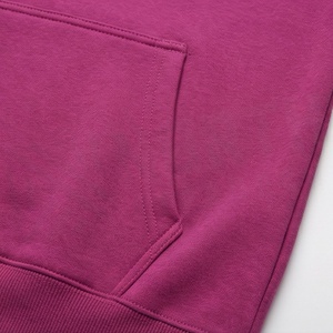 Sweat-shirts d'hiver pour femmes en polaire doux, doublés de coton pur, respirants, pull-over décontracté, vêtements de rue, mode, nouveau design - Product Image 5
