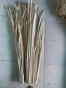 Hojas de Palma Secas Pintadas y Teñidas a Mano, Follaje Decorativo Premium para Hogares Modernos Boho, Suministro para Decoración de Eventos a Gran Escala - Product Image 4