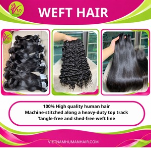 Extensiones de Cabello Humano Vietnamita 100%, Alta Calidad, Todos los Colores, Precio al por Mayor, Envío a Todo el Mundo - Product Image 6