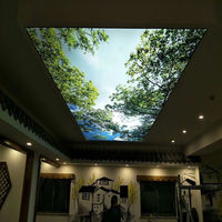 Foxygen OEM taille personnalisée PVC clignotant plafond extensible 3D membrane de plafond prix UK