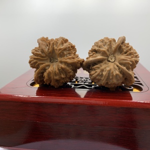 Galaxy Three-Ridge Walnut Raw Feng Shui, Adorno de Mano Coleccionable de Estilo Religioso Angelical, de Forma Ovalada, Cultivado Naturalmente en Concha - Product Image 5