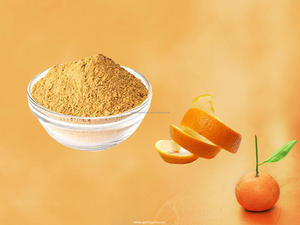 ผงเปลือกส้มแมนดารินสารสกัดจากพืชสมุนไพรจากซานตร้าชิลก้าผงเปลือกส้มแมนดาริน - Product Image 2