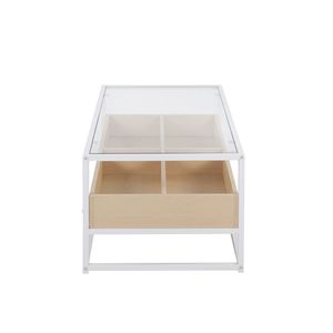 Contemporary <b>Display</b> <b>White</b> Metal and Natural Wood Coffee Table with Clear Glass by - Product Image 2
