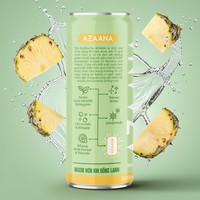OEM Private Label Ananas Meloen Frisdrank Koolzuurhoudende Drank Vietnam Fabriek Groothandelsprijs RTD Sap Frisdrank