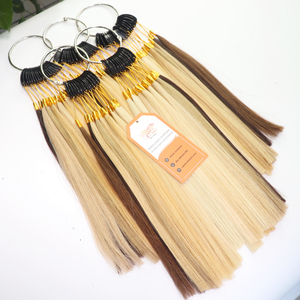 Tableau des couleurs de cheveux humains populaires noir brun blanc platine blond ombré Balayage couleur de cheveux personnalisés anneaux pour Extensions - Product Image 5