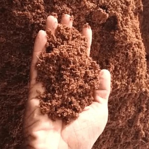 Wholesale Cocopeat Premium Growing <b>Medium</b> for Vegetable Farming Flower Cultivation and International Export Business - Product Image 1