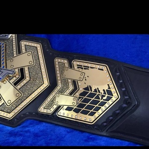 Ceinture de championnat Impact, ceinture de lutte poids lourd, ceinture de combat en cuir épais de 2 mm avec laiton - Product Image 2