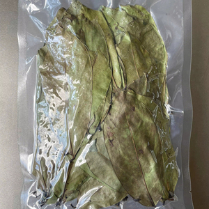GRAVIOLA SOURSOP LEAVES TEA FOR HERBAL TEA BEST PRICE FROM VIETNAM WITH AND BEST PRICE FOR WHOLESALER - Product Image 1