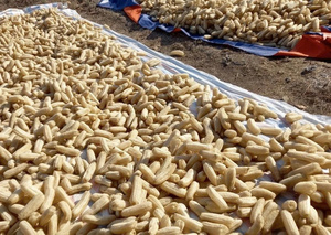 Wholesale Natural Soft Loofah <b>Bath</b> <b>Sponge</b> Cheapest Price Vietnamese Supplier for Body Skincare Daily Use - Product Image 2