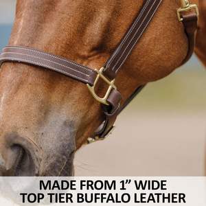 Harnais pour cheval en cuir super doux rembourré, noir ou cuir havana, personnalisé avec des perles turquoise et des cristaux brillants - Product Image 2