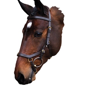 Brida Multibridle Rambo Micklem sin Bocado en Negro Marrón de Temporada - Product Image 1